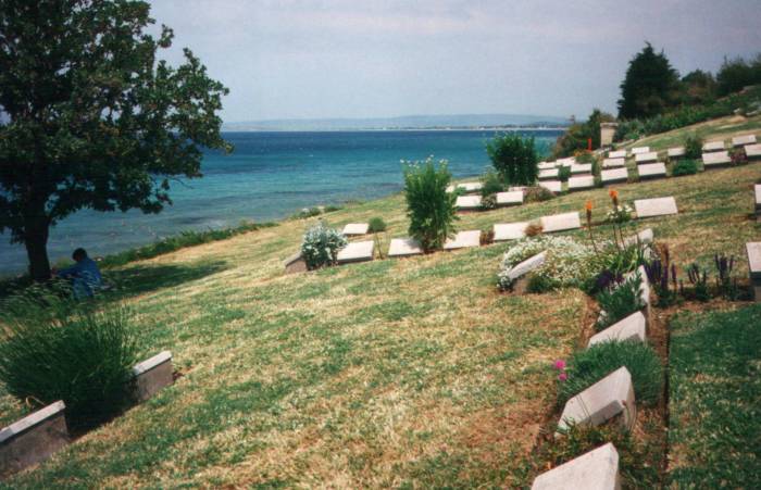 Gravestones and a tree in a cemetery at the Gallipoli battlefields.