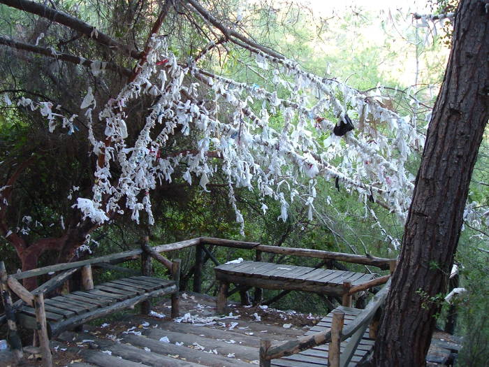 Tree covered in prayer ribbons.