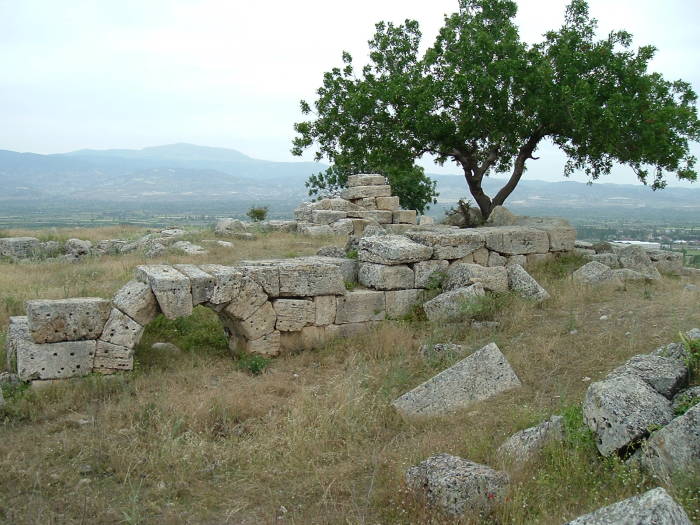 Large ruined structure and a tree in Laodicea.