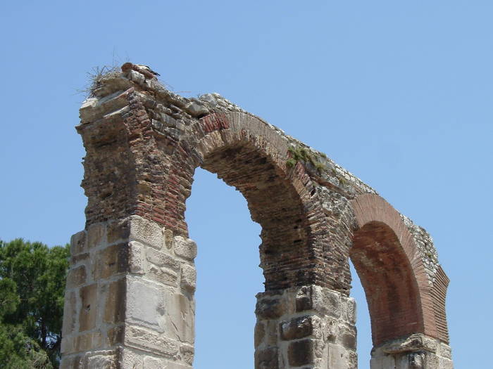 Aqueducts and stork nests in Selçuk.