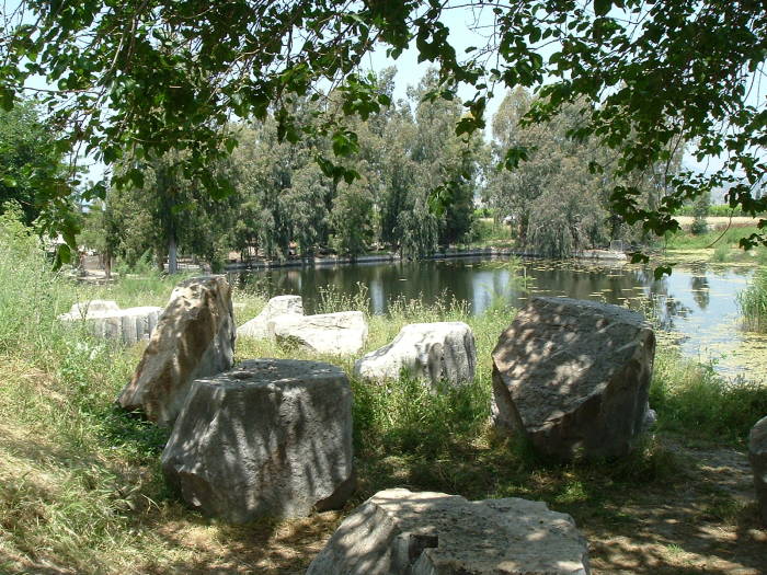 Willow trees around the Temple of Artemis.