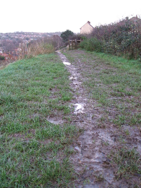 A muddy path from Wearyall Hill to the Glastonbury Tor.