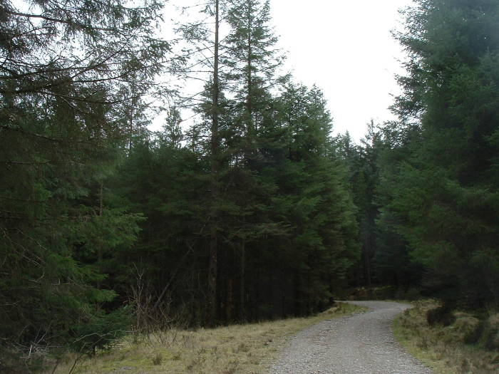 The West Highland Way, a long-distance path through Scotland, passing through Nevis Forest in Glen Nevis, near Fort William, Scotland