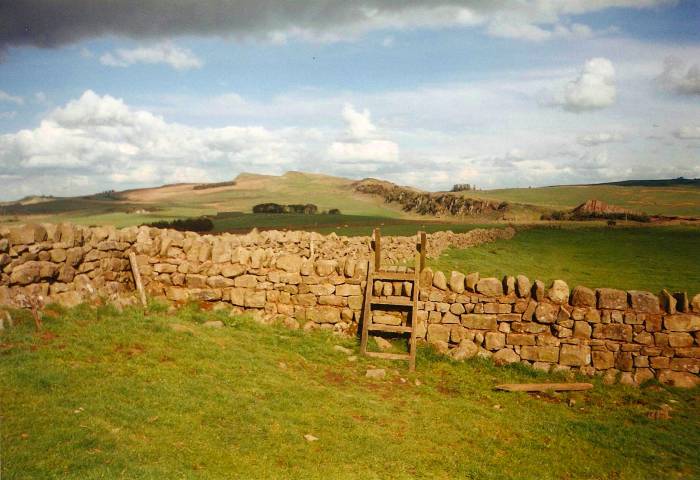 Wooden stile over a stone wall, north of Haltwhistle near turret 41B on Hadrian's Wall, Northumberland, England.