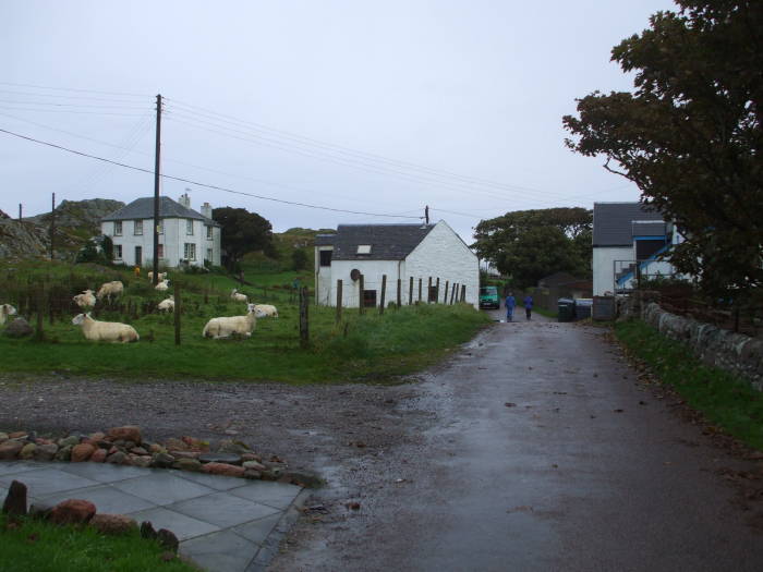 A small country lane through the Isle of Iona.