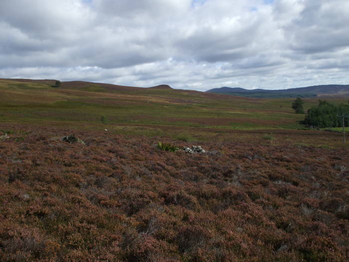 Trekking through the Scottish Highlands:  Purple heather and Highland views in Pitlochry, Scotland.