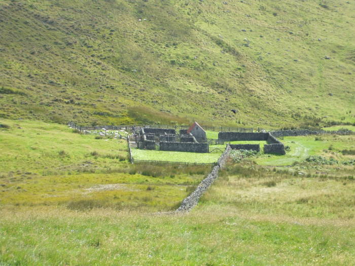 Stone sheep paddock in Scotland.