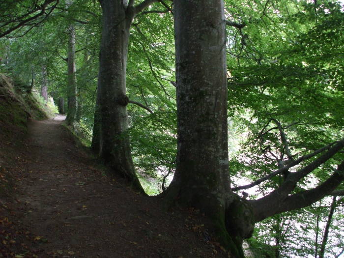 Path along the bank of a Scottish river.
