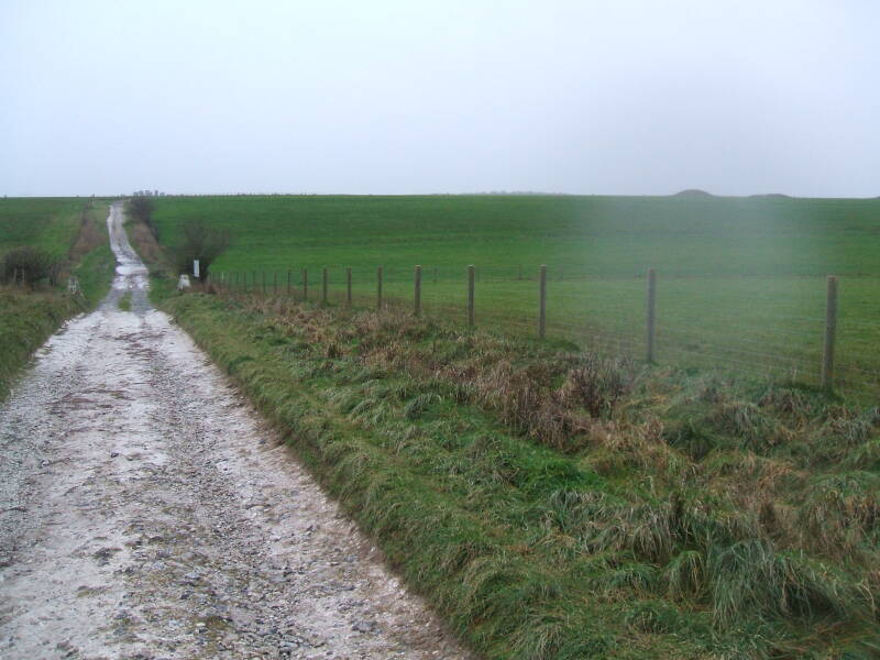 Walking toward Stonehenge and two tumuli, along a narrow track through the rain.