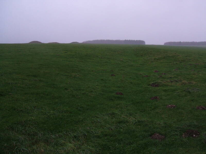 The Cursus, a megalithic earthwork near Stonehenge.