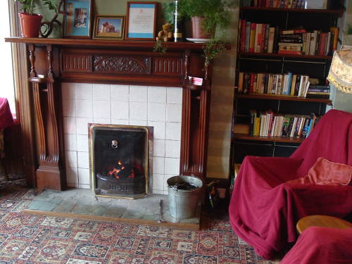 Coal file in the fireplace at Fort William Backpackers.