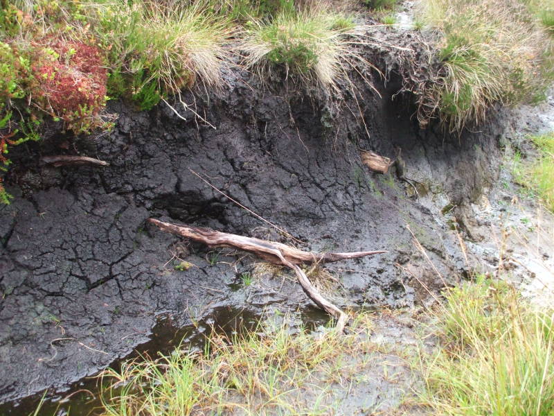Exposed black peat in the Scottish Highlands.