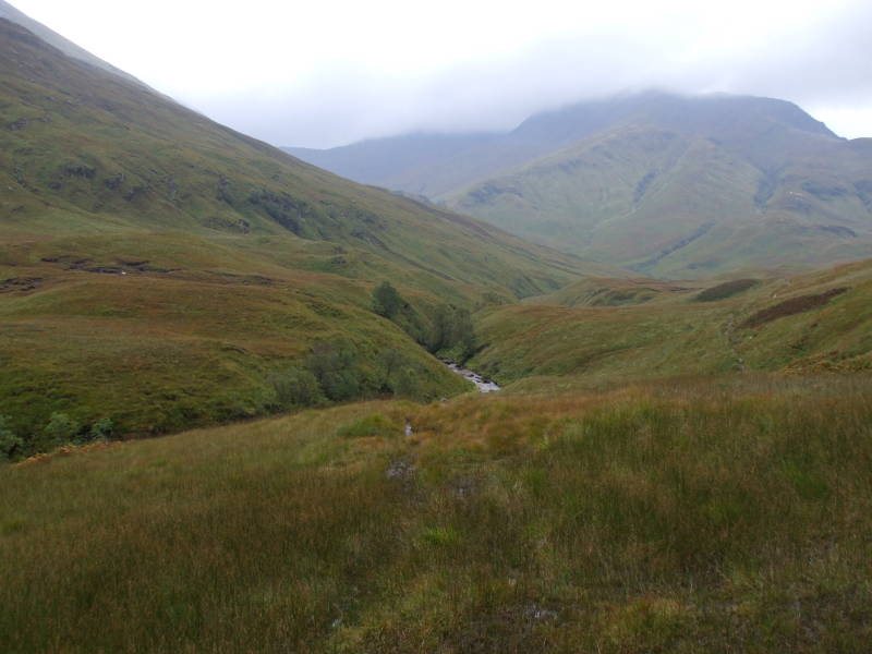 Very green Scottish Highland terrain.