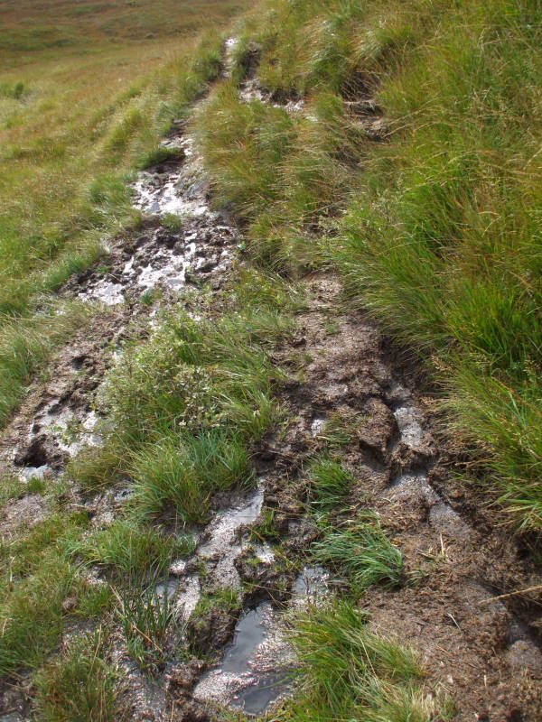 More of a path nearing Glen Nevis.