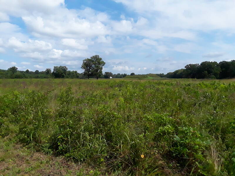 ALT: View from southwest to northeast across the Angel Mounds site near Evansville, Indiana, Mound A near center.