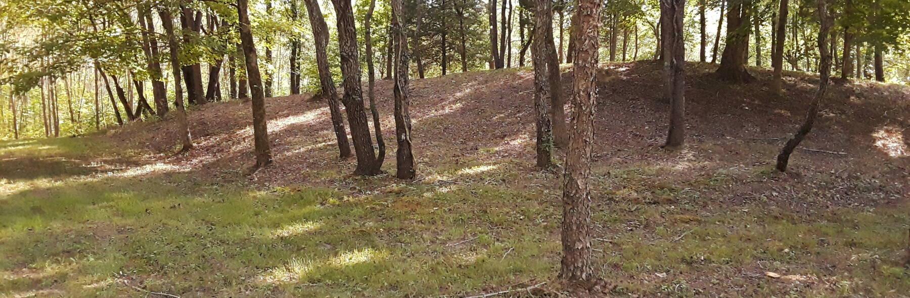 One of two mounds at the Waapaahšiki Siipiiwi Mount Historical Park in Sullivan County, Indiana.