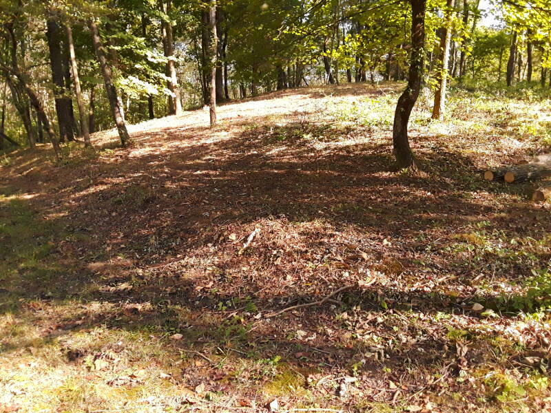 Smaller mound at Waapaahšiki Siipiiwi Mounds Historical Park.