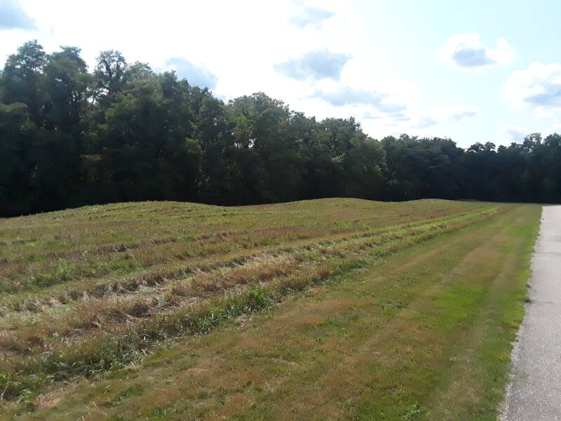 Mounds at the Yost Woodland site near Lafayette and Battle Ground, Indiana
