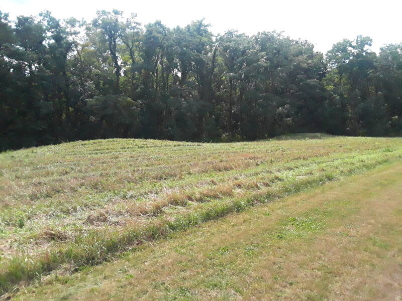 Mounds at the Yost Woodland site near Lafayette and Battle Ground, Indiana