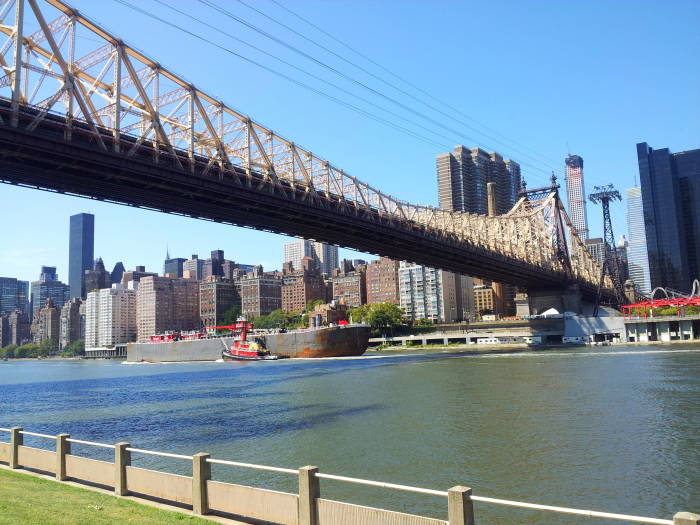 Queensboro Bridge and Manhattan seen from Roosevelt Island in the East River in New York.