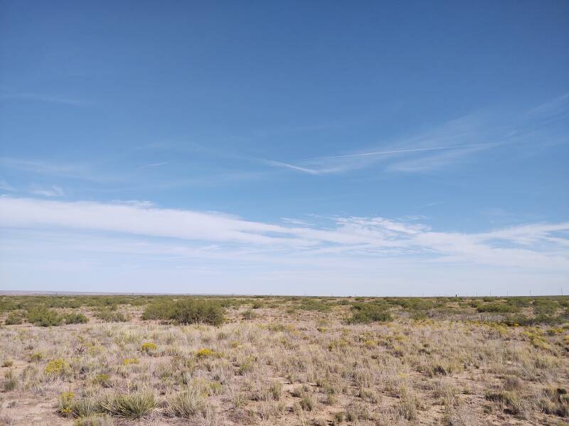 View to north from observation site.
