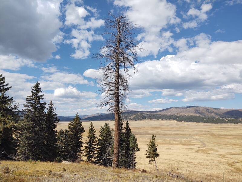 Valles Caldera seen from New Mexico Highway 4 along its southern rim.