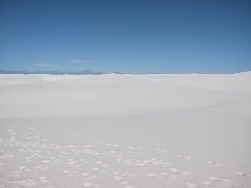 View across the dunes at White Sands.
