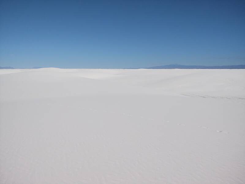 View across the dunes at White Sands.