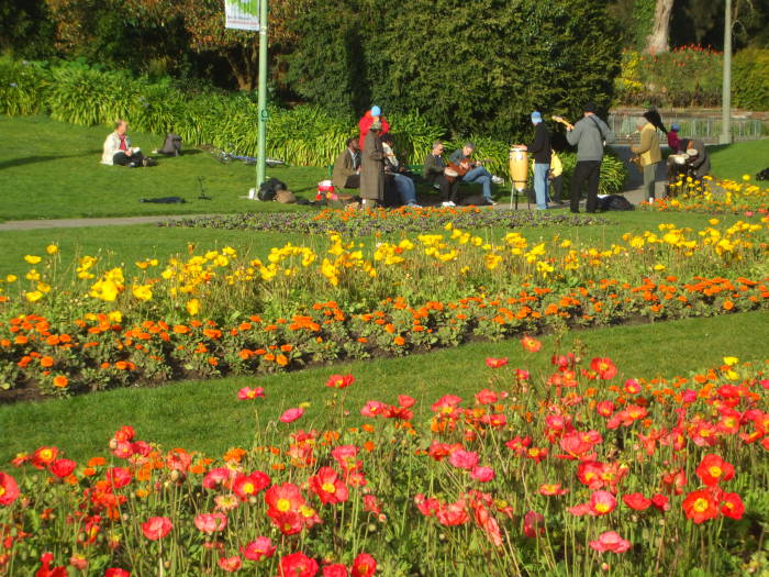 Musicians playing and flowers blooming in Golden Gate Park.