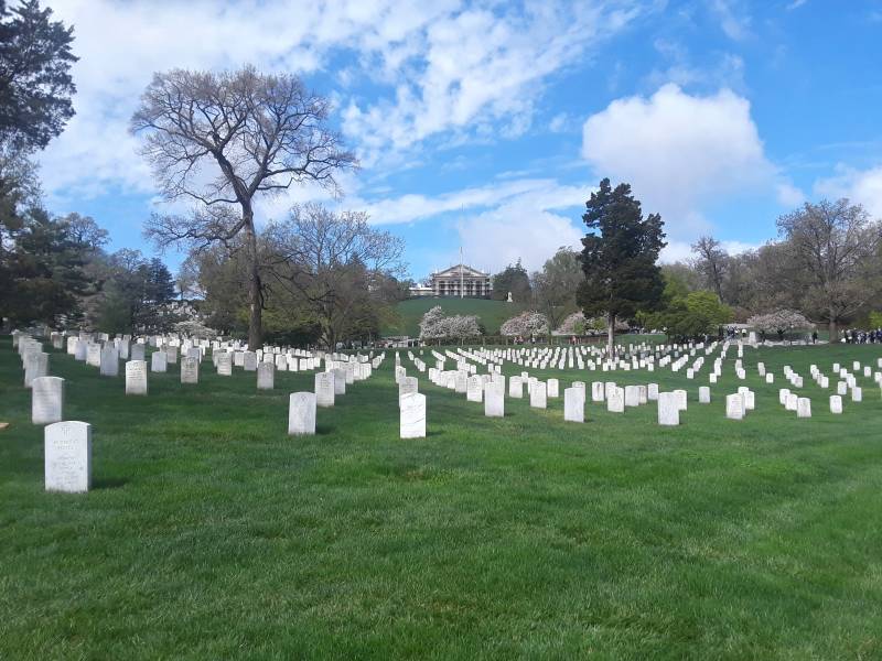 Graves in Arlington Cemetery.