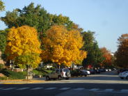 Waldron Street in early October.